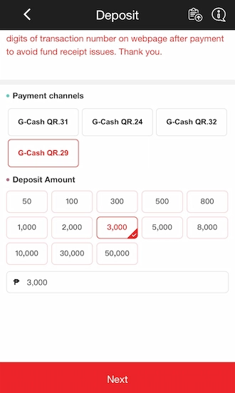 Step 2: enter the payment amount. 