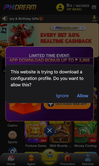 Step 3: Click "Allow" to allow the profile download.