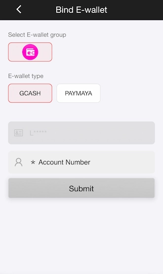 Step 2: Enter your e-wallet account number.